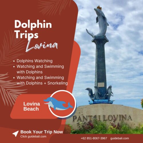 Dolphins Tour Lovina