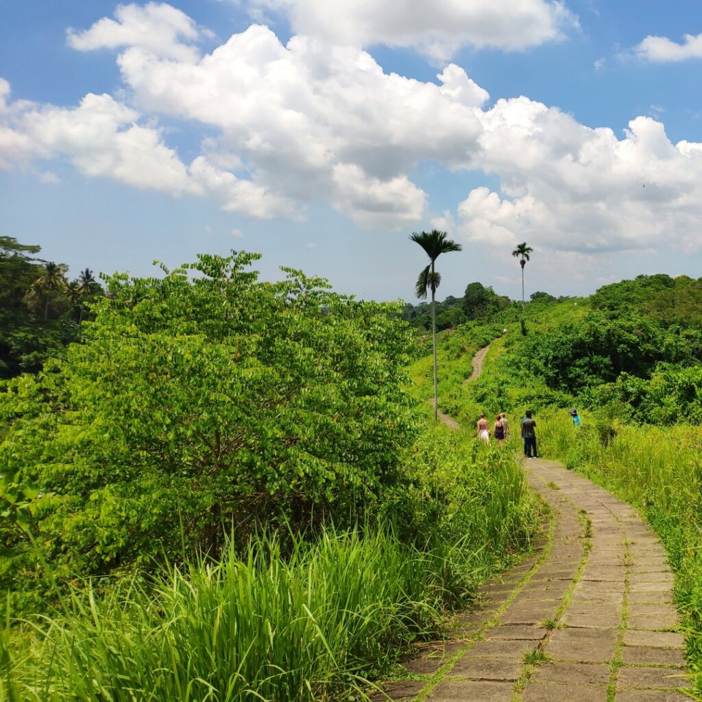 The Campuhan Ridge Walk stretches for 1 km.