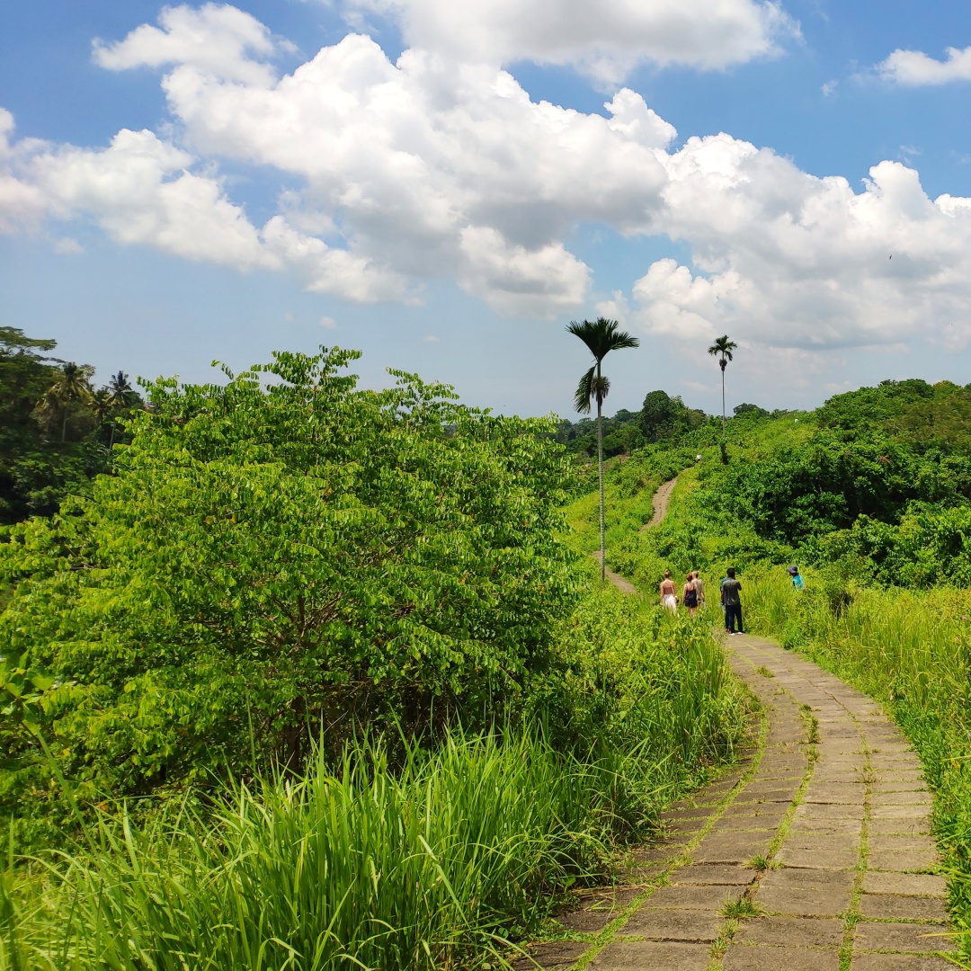 Trekking path Campuhan Ridge Walk