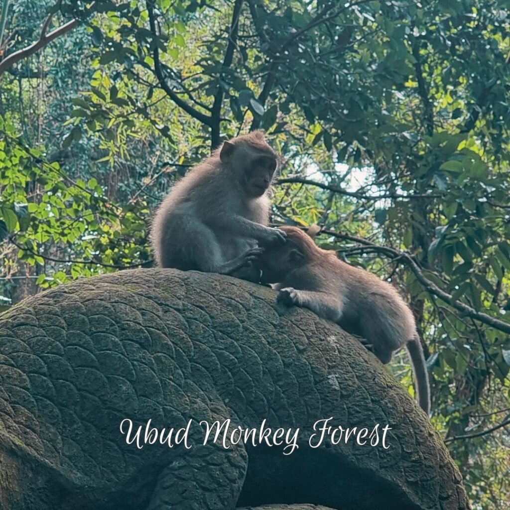 Ubud Monkey Forest