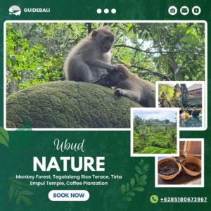 Ubud Nature Tour