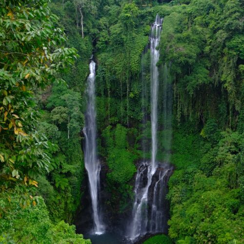 Sekumpul Twin Waterfall Tour