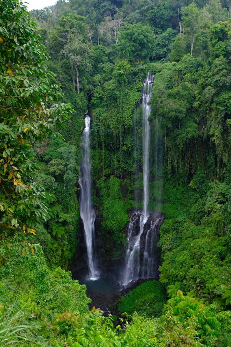 Sekumpul Twin Waterfall Tour