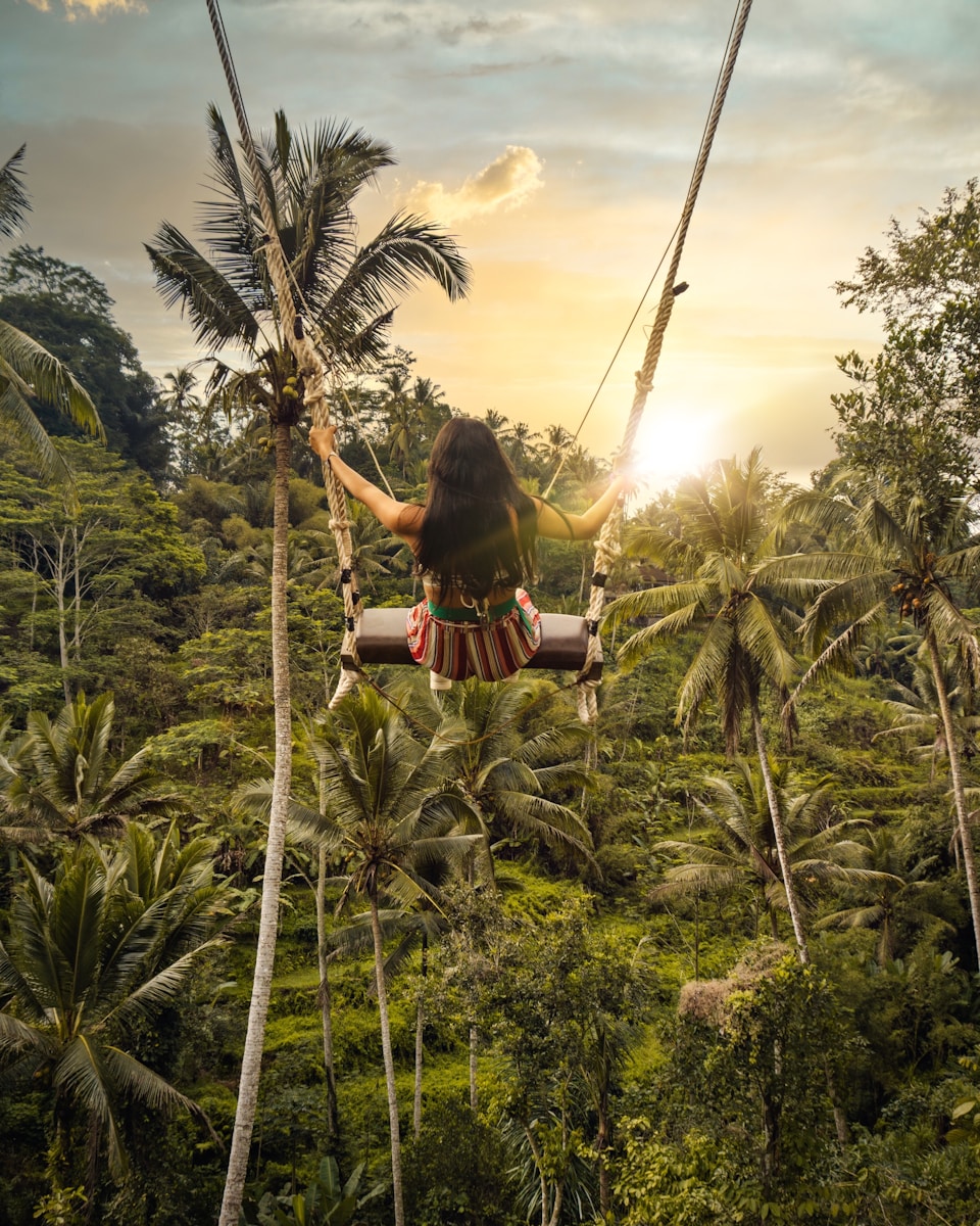 Lunch - Jungle Swing - Tegallalang Rice Terrace